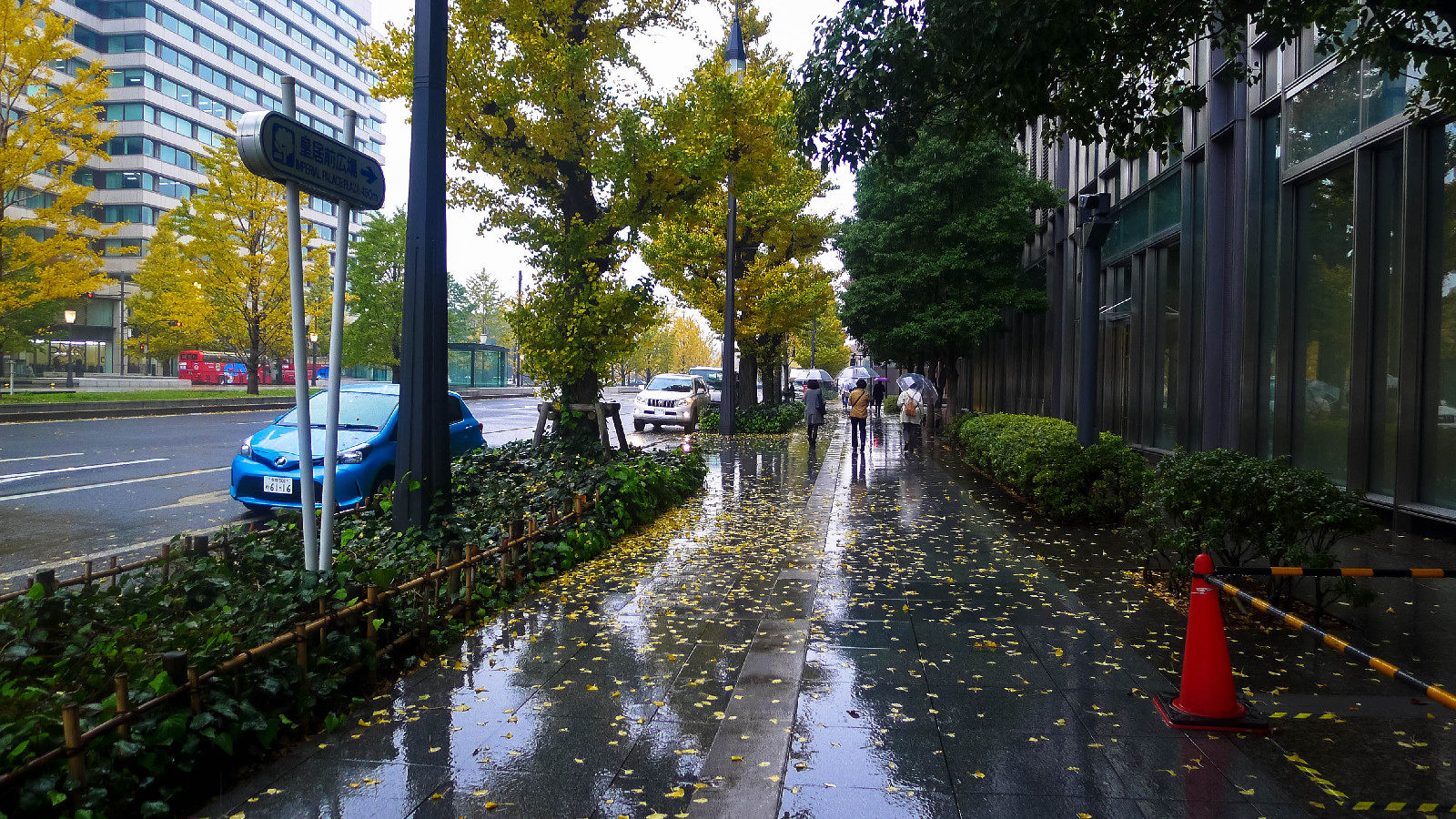 去皇居的小路上，满满的杏树