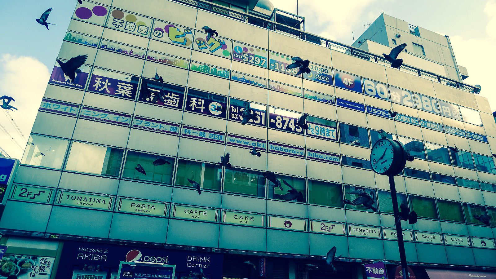 抓拍到秋叶原广场的飞鸽