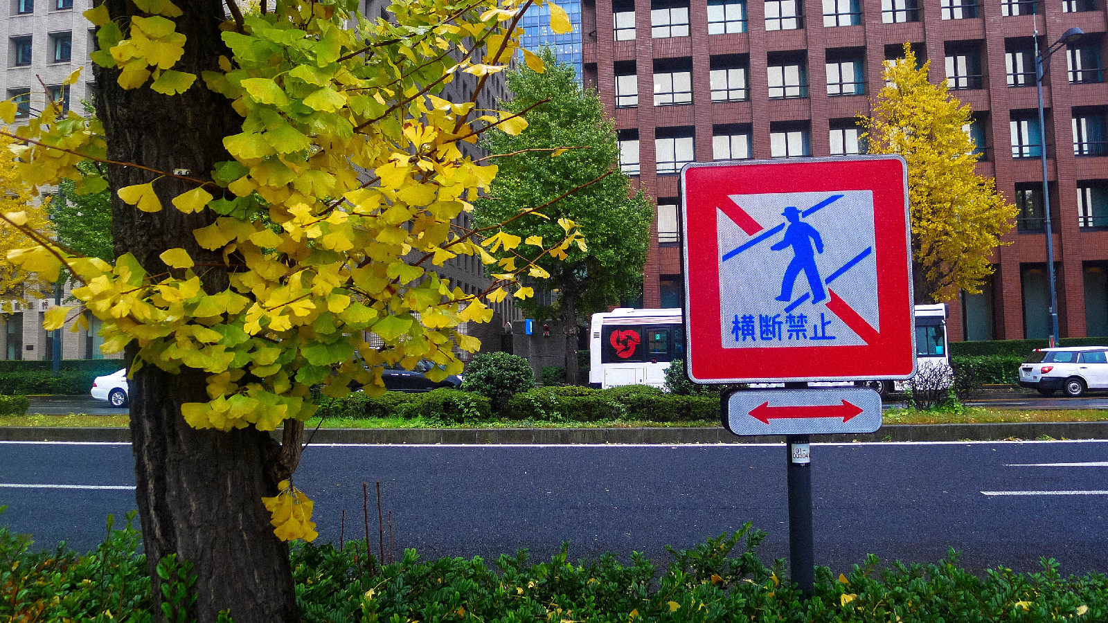 清新的袖珍马路