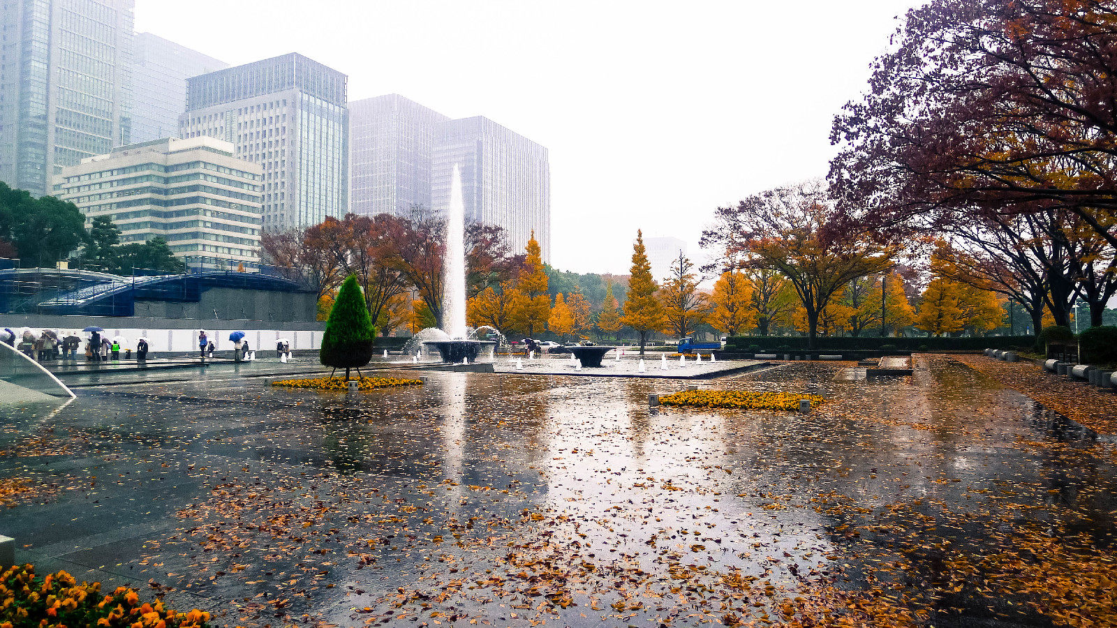 东京站外的广场，深秋雨后落叶撒满一地
