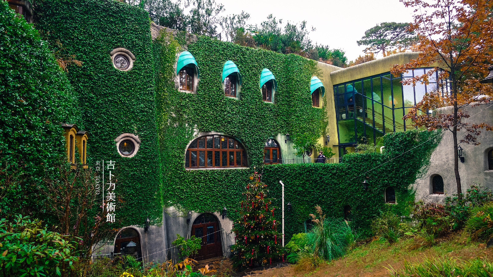 馆壁外滕蔓满满，馆内拍照禁止哦