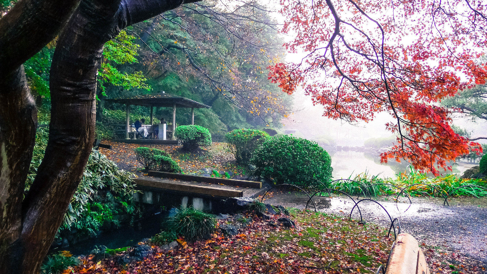 言叶之庭中主角避雨的小亭子吗